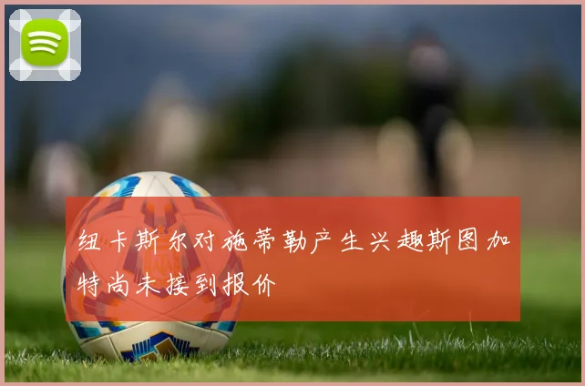 纽卡斯尔对施蒂勒产生兴趣斯图加特尚未接到报价